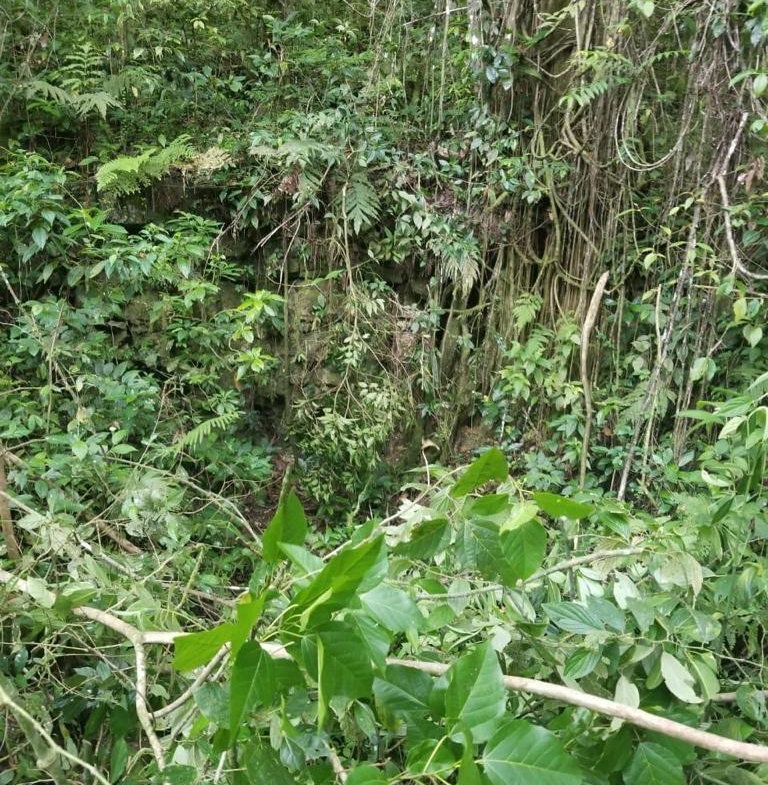 Fourth image of 61 Great Valley, Hanover in Great Valley, Hanover, Jamaica - property is For Sale