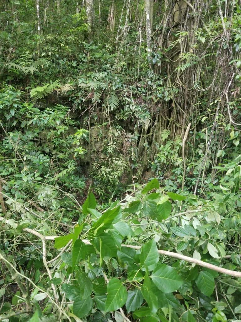 5.13-Acre-Residential-Lot-for-Sale-in-Hanover-Jamaica Fourth image of 61 Great Valley, Hanover in Great Valley, Hanover, Jamaica - property is For Sale