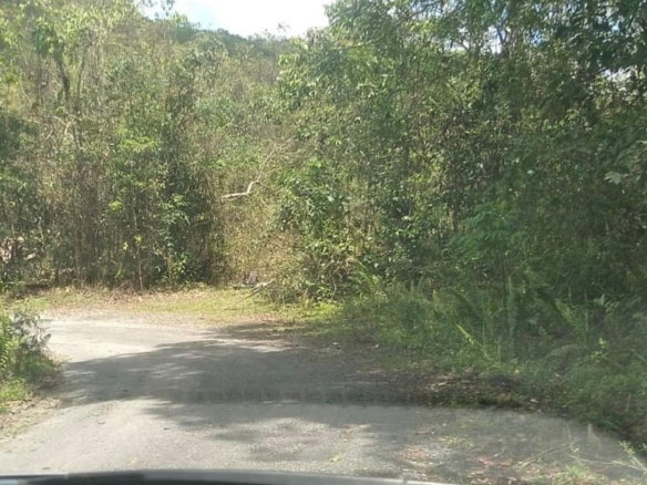 First image of 61 Great Valley, Hanover in Great Valley, Hanover, Jamaica - property is For Sale