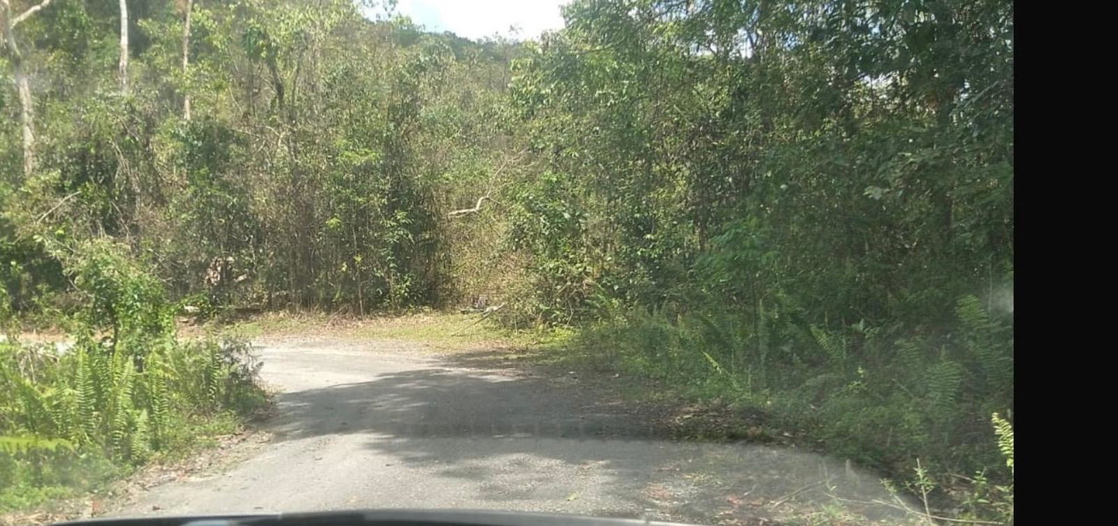 5.13-Acre-Residential-Lot-for-Sale-in-Hanover-Jamaica First image of 61 Great Valley, Hanover in Great Valley, Hanover, Jamaica - property is For Sale