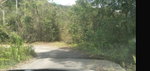 First image of 61 Great Valley, Hanover in Great Valley, Hanover, Jamaica - property is For Sale
