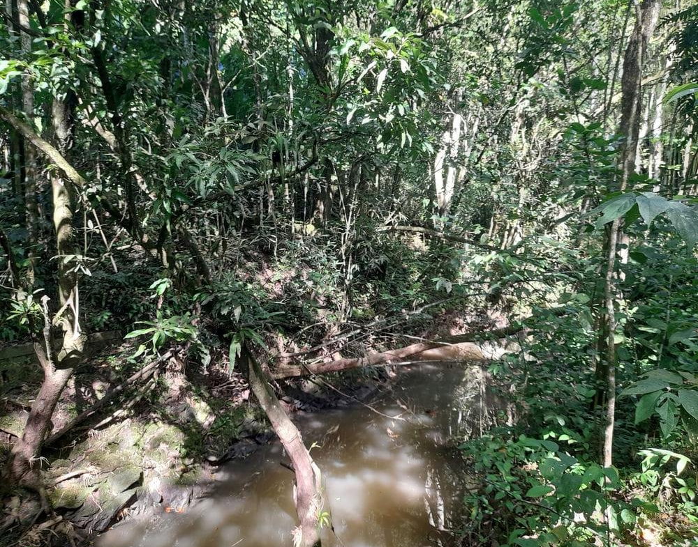 Second image of Ducketts Spring in Bethel Town, Westmoreland, Jamaica - property is For Sale