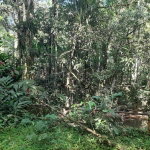 First image of Ducketts Spring in Bethel Town, Westmoreland, Jamaica - property is For Sale