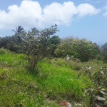First image of Plowden Manchester in Plowden Hill, Manchester, Jamaica - property is For Sale
