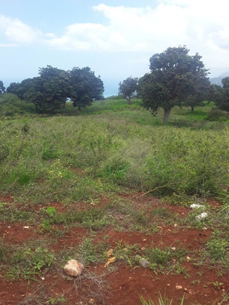 Fourth image of Plowden Manchester in Plowden Hill, Manchester, Jamaica - property is For Sale