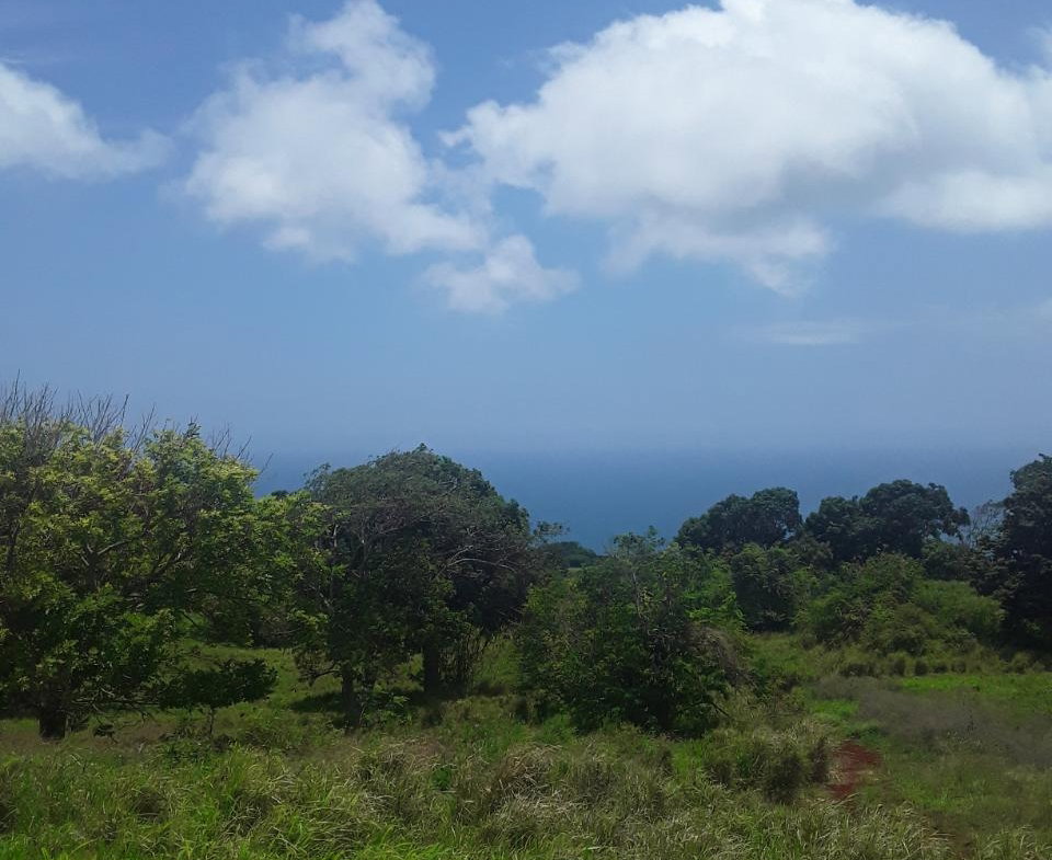 Fifth image of Plowden Manchester in Plowden Hill, Manchester, Jamaica - property is For Sale