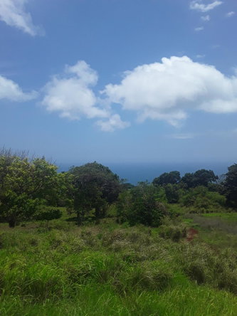 Fifth image of Plowden Manchester in Plowden Hill, Manchester, Jamaica - property is For Sale