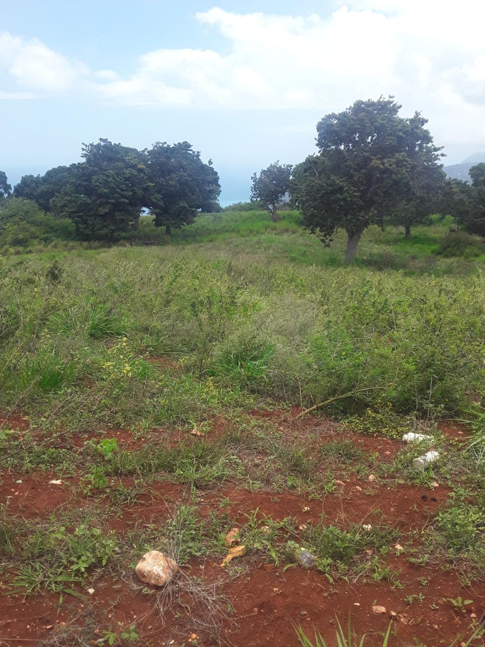 Seventh image of Plowden Manchester in Plowden Hill, Manchester, Jamaica - property is For Sale