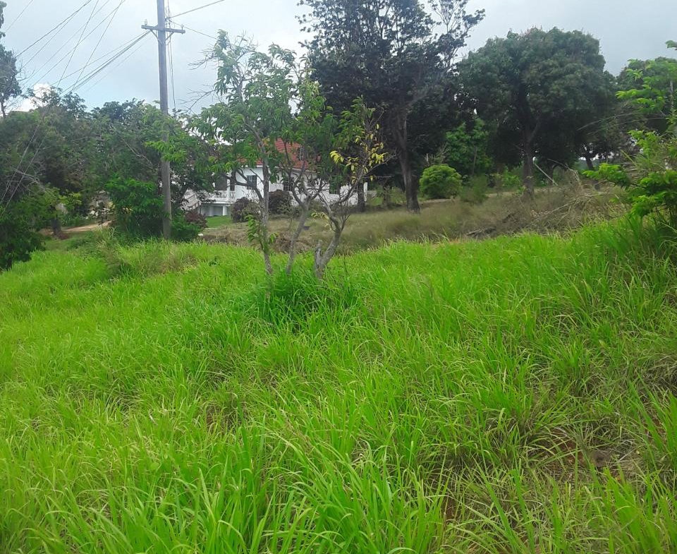 Ninth image of Plowden Manchester in Plowden Hill, Manchester, Jamaica - property is For Sale