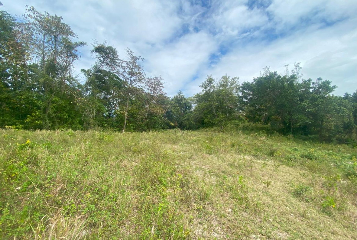 Thirteenth image of 1 Childermas, Anchovy in Anchovy, St. James, Jamaica - property is For Sale