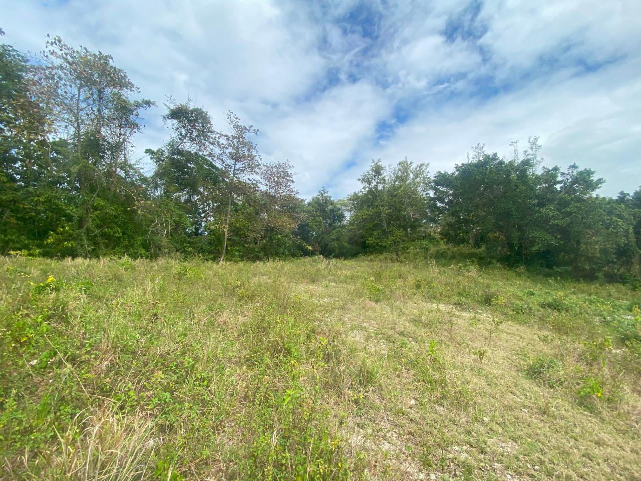 Thirteenth image of 1 Childermas, Anchovy in Anchovy, St. James, Jamaica - property is For Sale