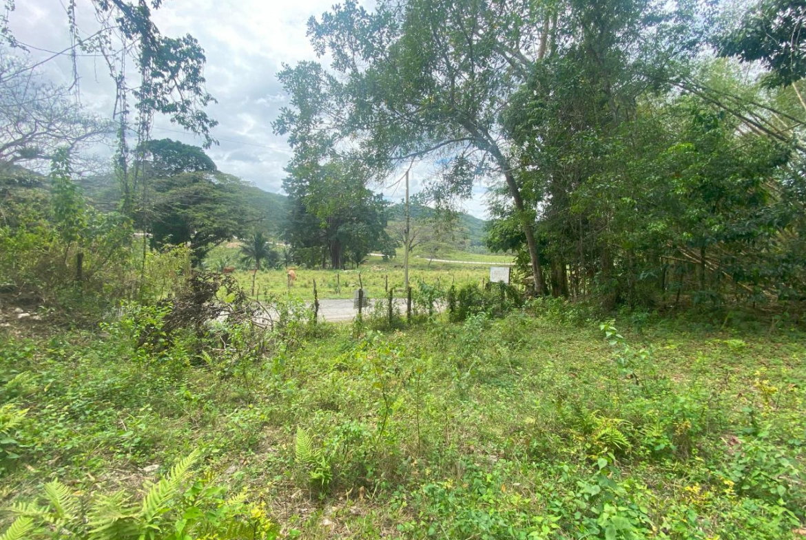 Fourteenth image of 1 Childermas, Anchovy in Anchovy, St. James, Jamaica - property is For Sale