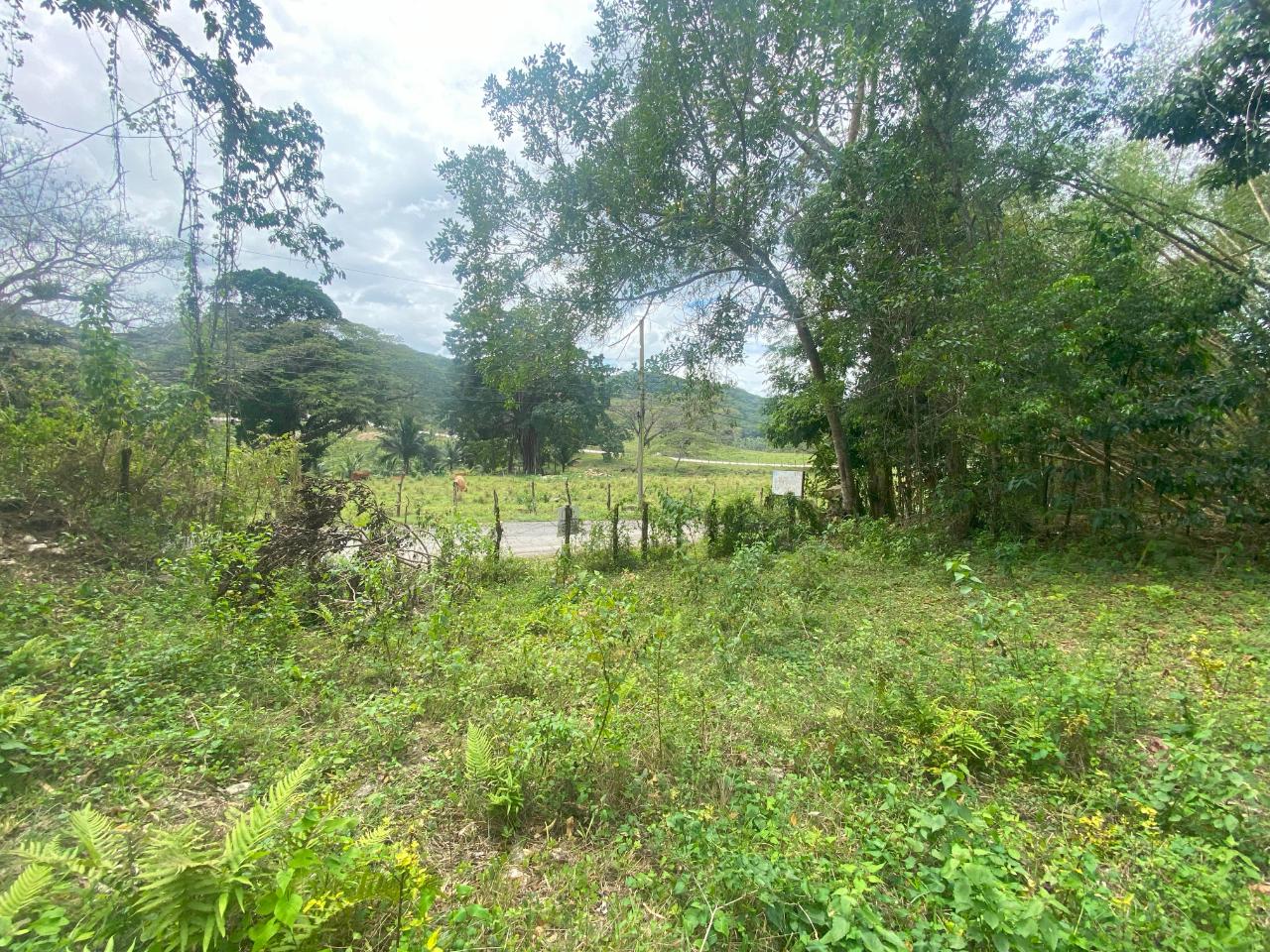 Fourteenth image of 1 Childermas, Anchovy in Anchovy, St. James, Jamaica - property is For Sale