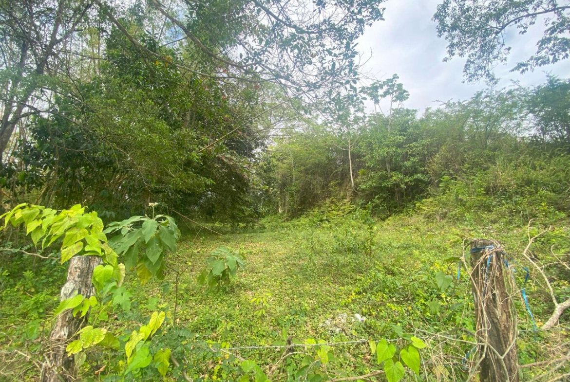 Sixteenth image of 1 Childermas, Anchovy in Anchovy, St. James, Jamaica - property is For Sale