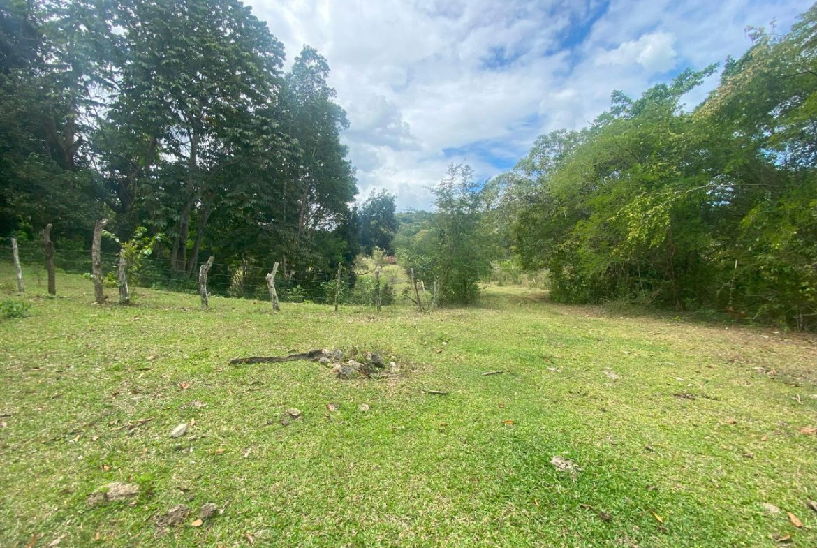 Seventeenth image of 1 Childermas, Anchovy in Anchovy, St. James, Jamaica - property is For Sale