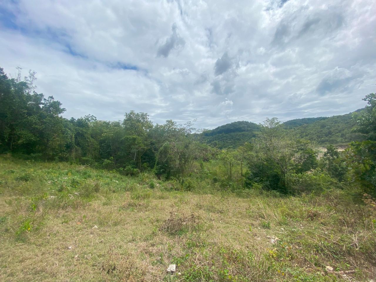 Eighteenth image of 1 Childermas, Anchovy in Anchovy, St. James, Jamaica - property is For Sale