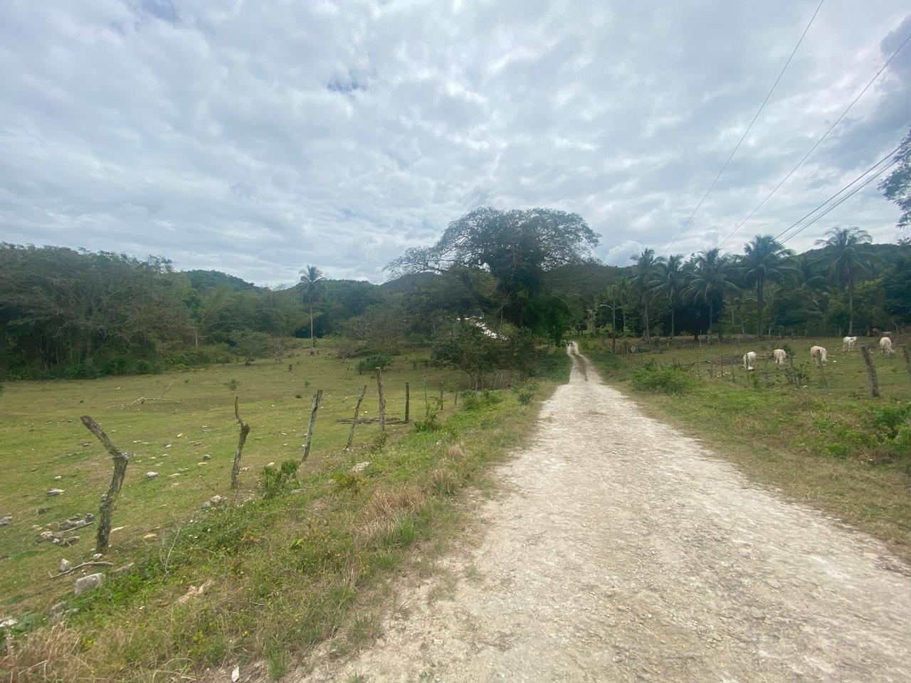 Sixth image of 1 Childermas, Anchovy in Anchovy, St. James, Jamaica - property is For Sale