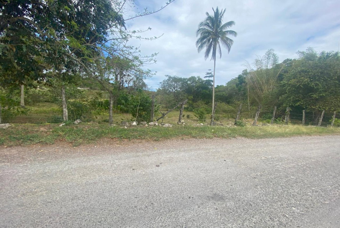 Seventh image of 1 Childermas, Anchovy in Anchovy, St. James, Jamaica - property is For Sale