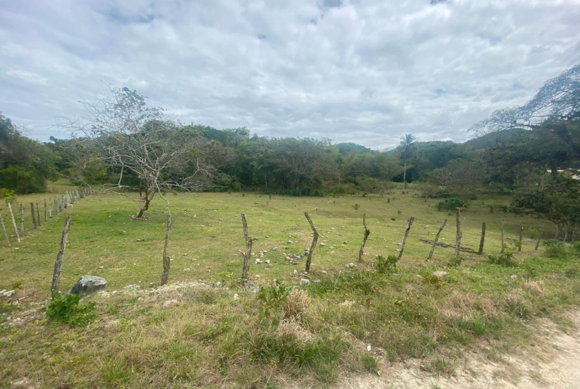 Eighth image of 1 Childermas, Anchovy in Anchovy, St. James, Jamaica - property is For Sale