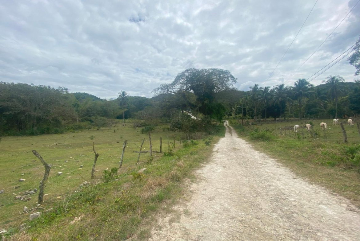 Ninth image of 1 Childermas, Anchovy in Anchovy, St. James, Jamaica - property is For Sale