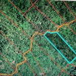 First image of 31 Fort George in Camberwell, St. Mary, Jamaica - property is For Sale