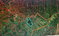 First image of 14 Fort George in Camberwell, St. Mary, Jamaica - property is For Sale
