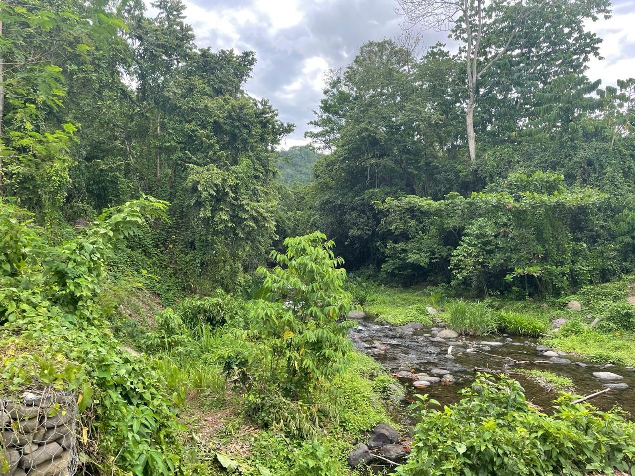 Third image of 14 Fort George in Camberwell, St. Mary, Jamaica - property is For Sale