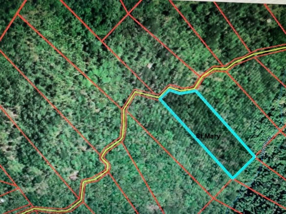 First image of 31 Fort George in Camberwell, St. Mary, Jamaica - property is For Sale