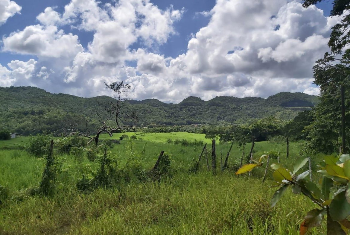 Eighth image of Part of Belmont in Moneague, St. Ann, Jamaica - property is For Sale