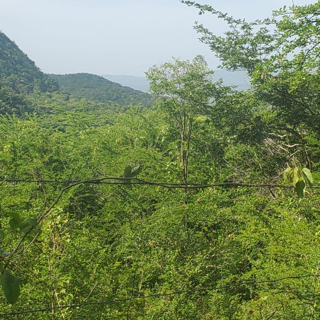 Second image of Long Common Manchester in St.Pauls, Manchester, Jamaica - property is For Sale