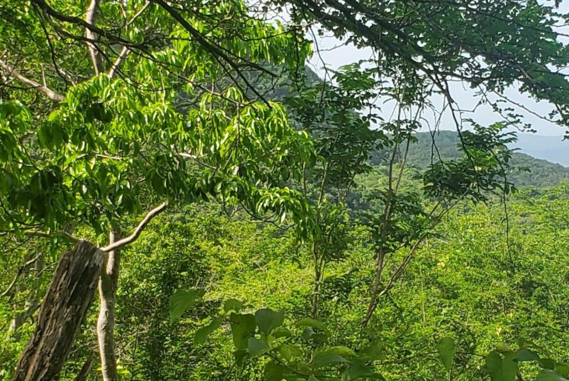 Third image of Long Common Manchester in St.Pauls, Manchester, Jamaica - property is For Sale