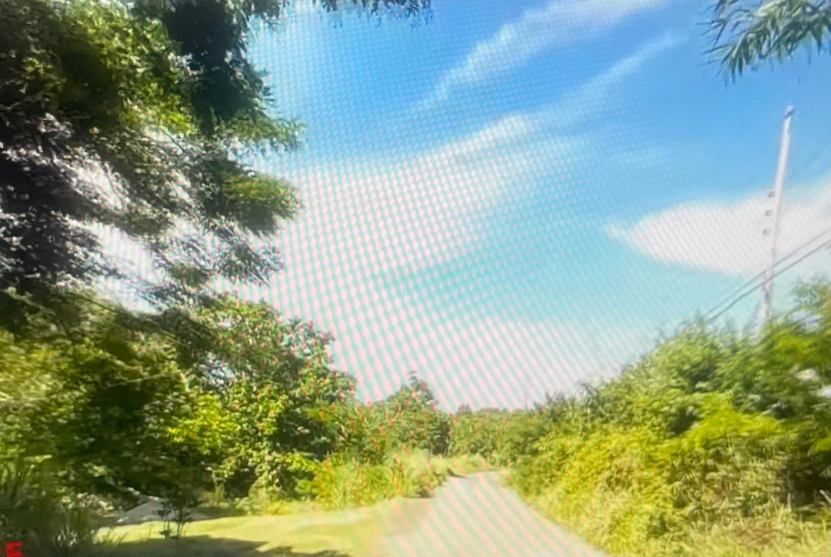 Second image of Rose Hill Manchester in Rose Hill, Manchester, Jamaica - property is For Sale