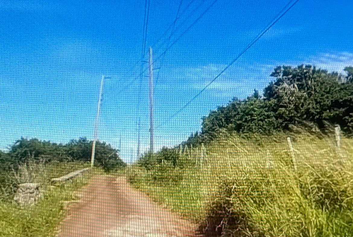 Third image of Rose Hill Manchester in Rose Hill, Manchester, Jamaica - property is For Sale