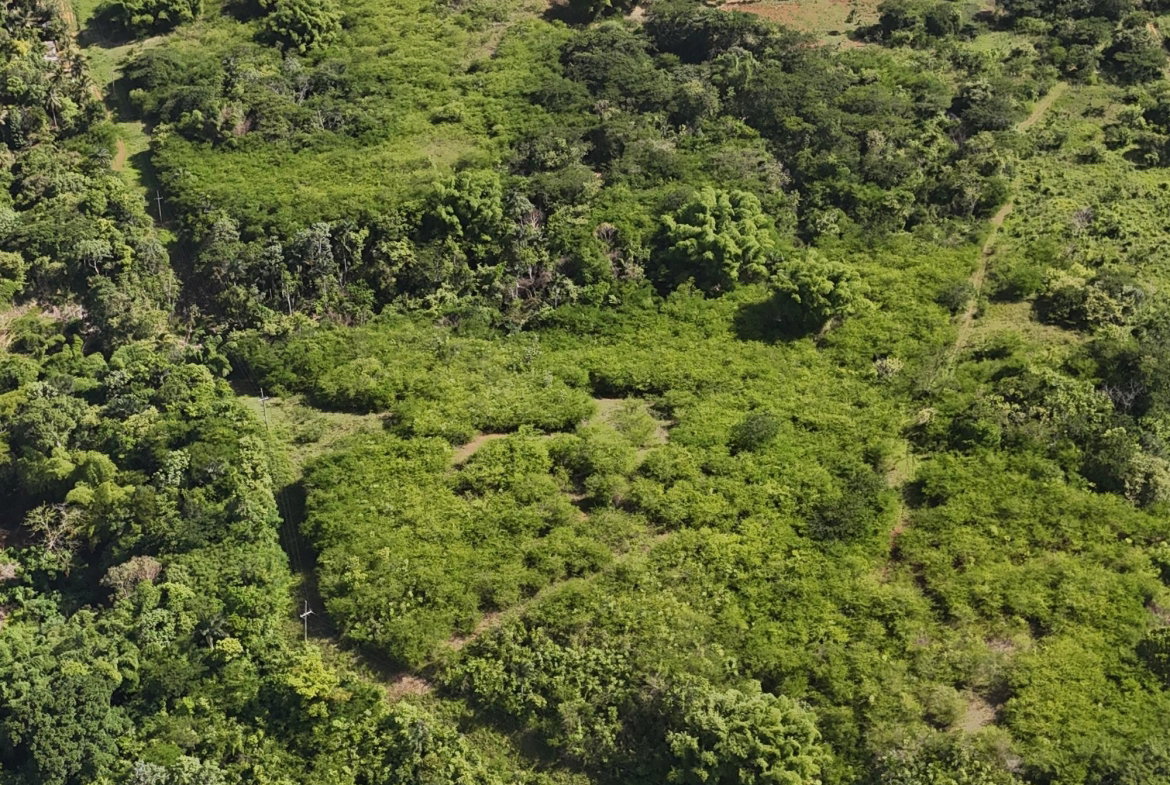 Fifth image of Zephyrton in Linstead, St. Catherine, Jamaica - property is For Sale