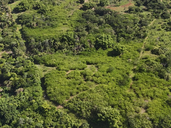 Fifth image of Zephyrton in Linstead, St. Catherine, Jamaica - property is For Sale