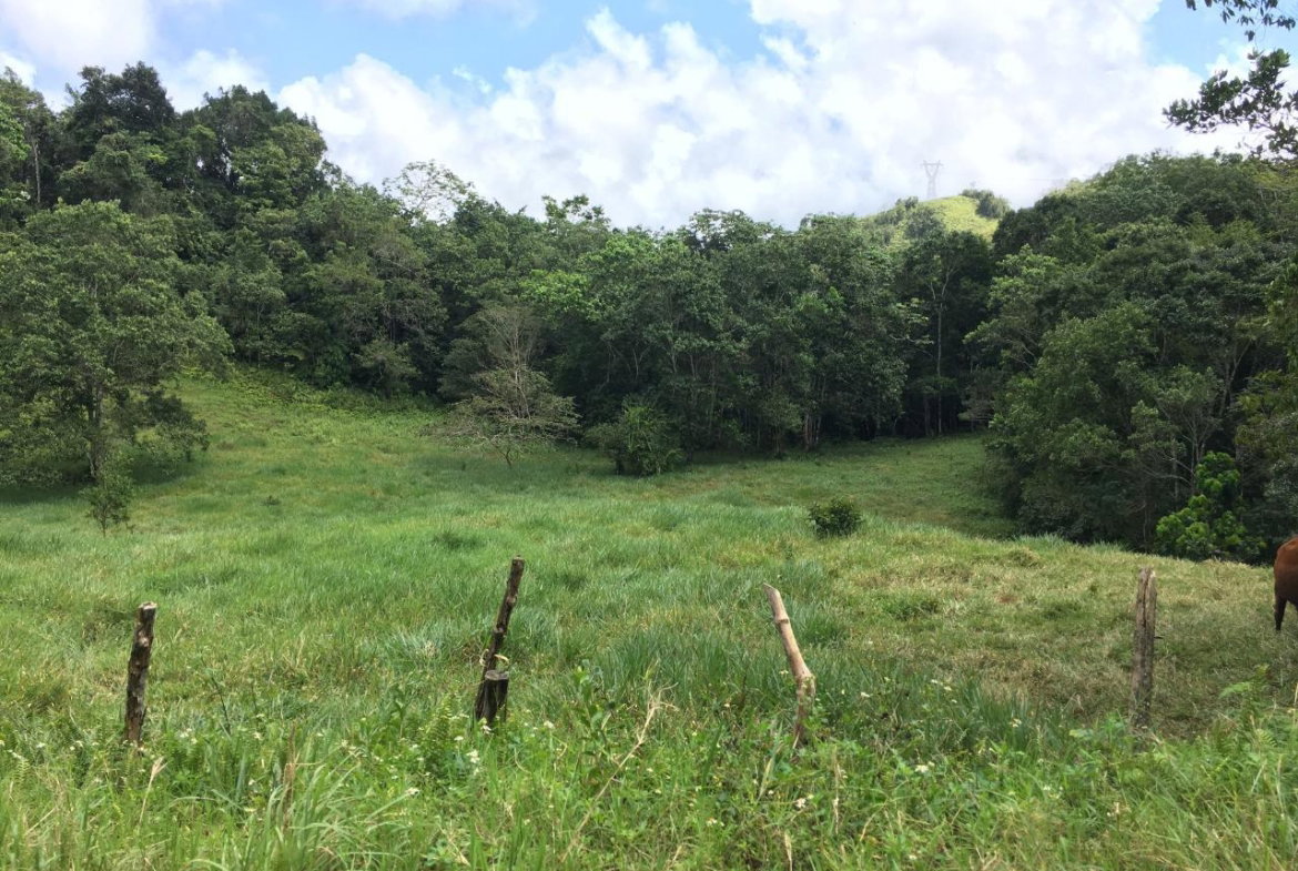 Second image of Chippenham Park, Bamboo in Bamboo, St. Ann, Jamaica - property is For Sale