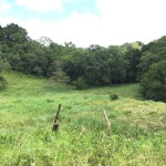 First image of Chippenham Park, Bamboo in Bamboo, St. Ann, Jamaica - property is For Sale
