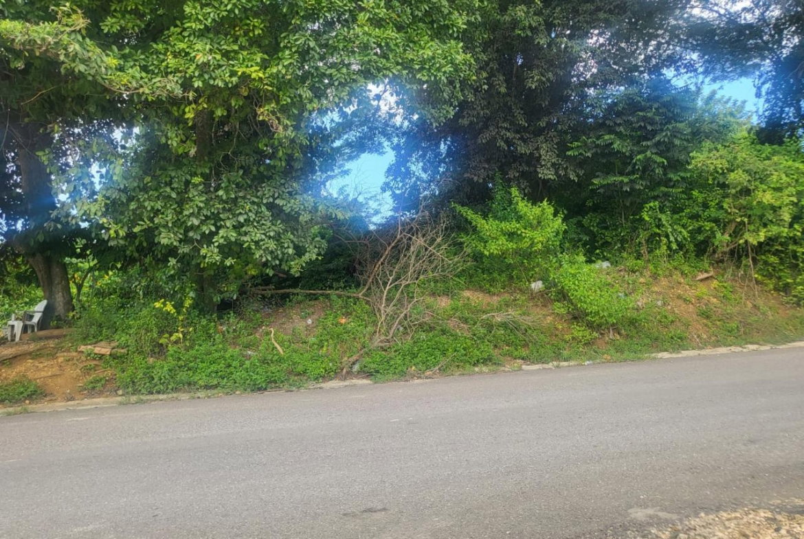 First image of Fish River, Hanover in Santoy, Hanover, Jamaica - property is For Sale