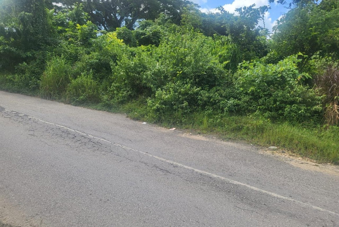 Third image of Fish River, Hanover in Santoy, Hanover, Jamaica - property is For Sale