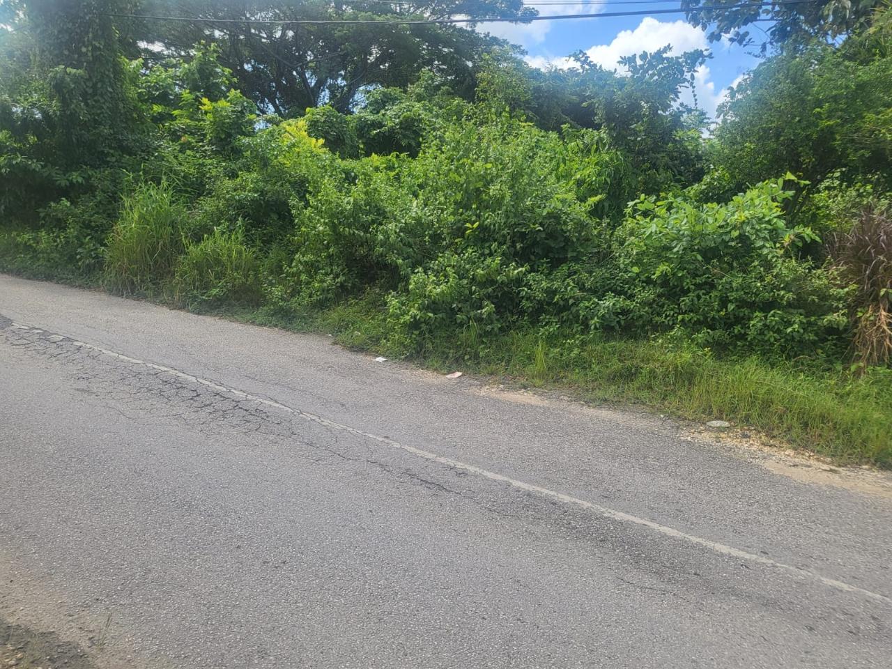 Third image of Fish River, Hanover in Santoy, Hanover, Jamaica - property is For Sale
