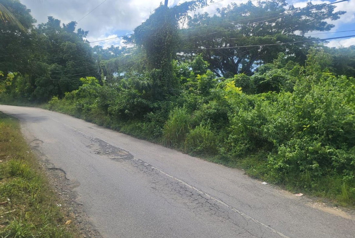 Fourth image of Fish River, Hanover in Santoy, Hanover, Jamaica - property is For Sale