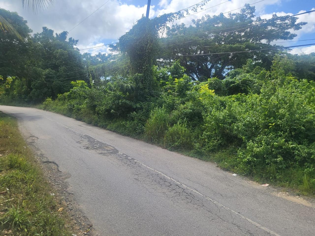 Fourth image of Fish River, Hanover in Santoy, Hanover, Jamaica - property is For Sale