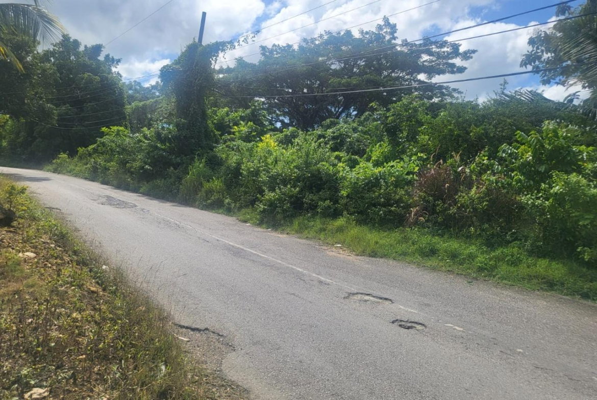 Fifth image of Fish River, Hanover in Santoy, Hanover, Jamaica - property is For Sale