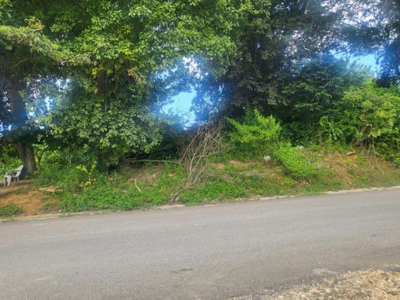 First image of Fish River, Hanover in Santoy, Hanover, Jamaica - property is For Sale