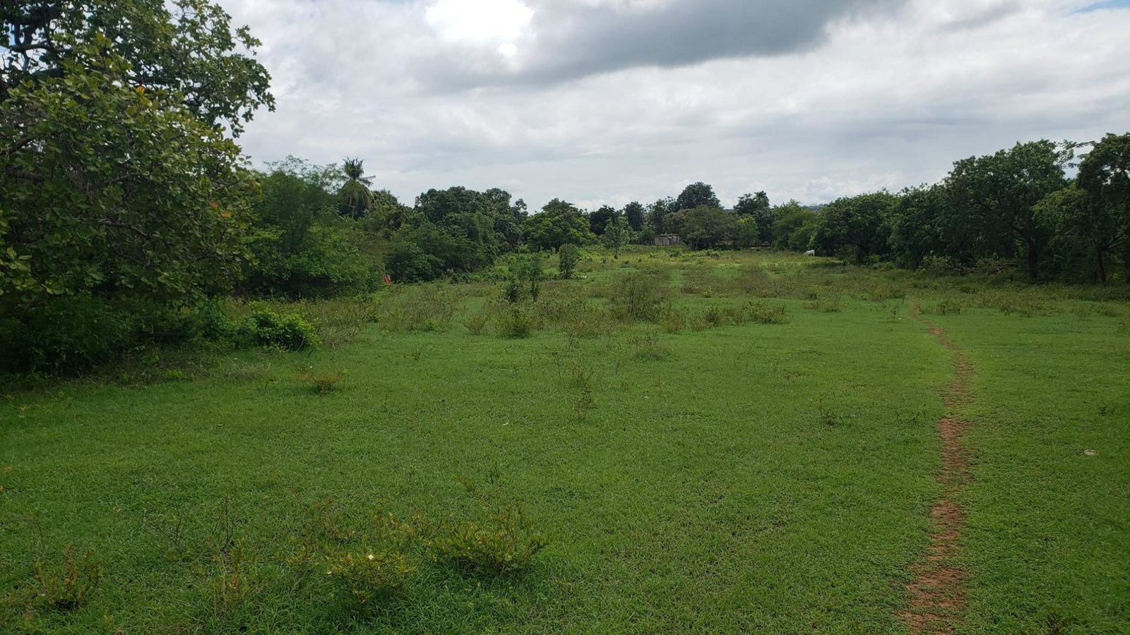 Second image of Denbigh Clarendon in Denbigh, Clarendon, Jamaica - property is For Sale