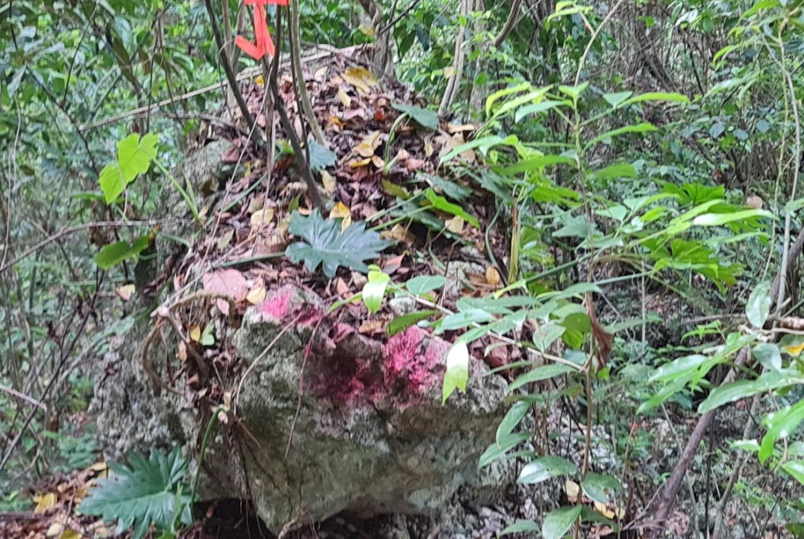 Second image of Cavaliers in Cavaliers, St. Andrew, Jamaica - property is For Sale