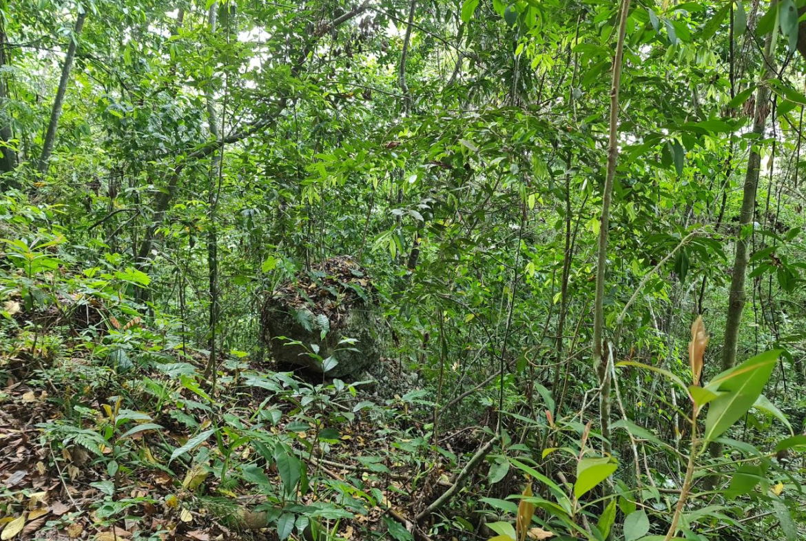 First image of Cavaliers in Cavaliers, St. Andrew, Jamaica - property is For Sale