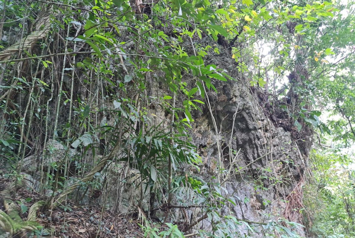 Thirteenth image of Cavaliers in Cavaliers, St. Andrew, Jamaica - property is For Sale