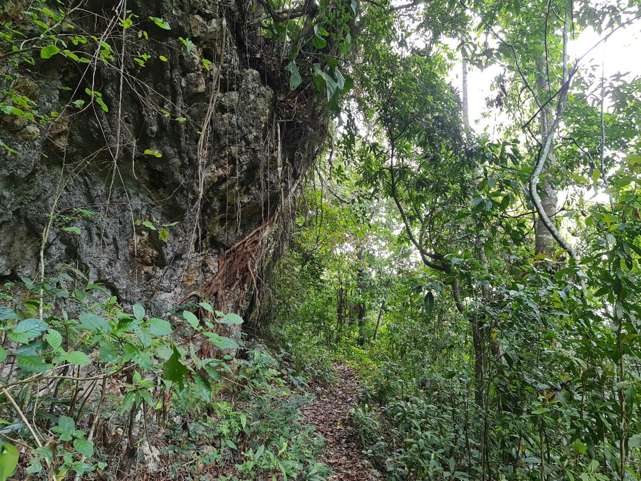 Fifteenth image of Cavaliers in Cavaliers, St. Andrew, Jamaica - property is For Sale