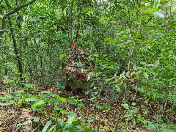 Sixteenth image of Cavaliers in Cavaliers, St. Andrew, Jamaica - property is For Sale